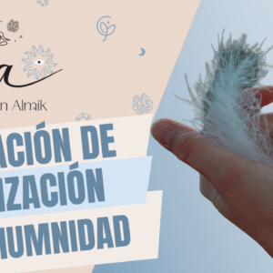 Canalización y Mediandidad