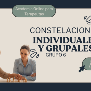 Constelaciones Individuales y Grupales (Grupo 6)